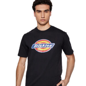 טי שירט Dickies לגברים