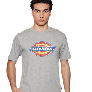 טי שירט Dickies לגברים