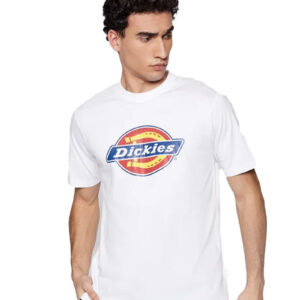 טי שירט Dickies לגברים